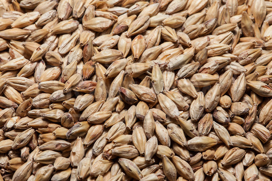 Melanoidin Malt, Bestmalz, 1 ounce