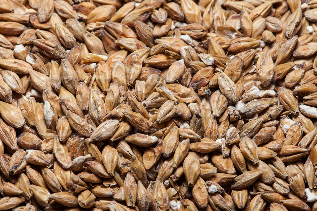 Acidulated Malt, Bestmalz, 1 ounce