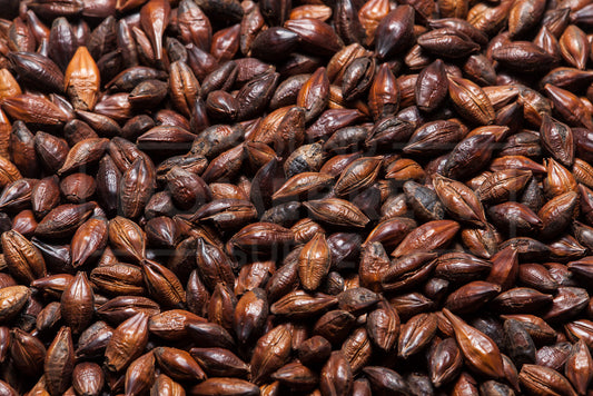 Pale Chocolate Malt, Thomas Fawcett, 1 ounce