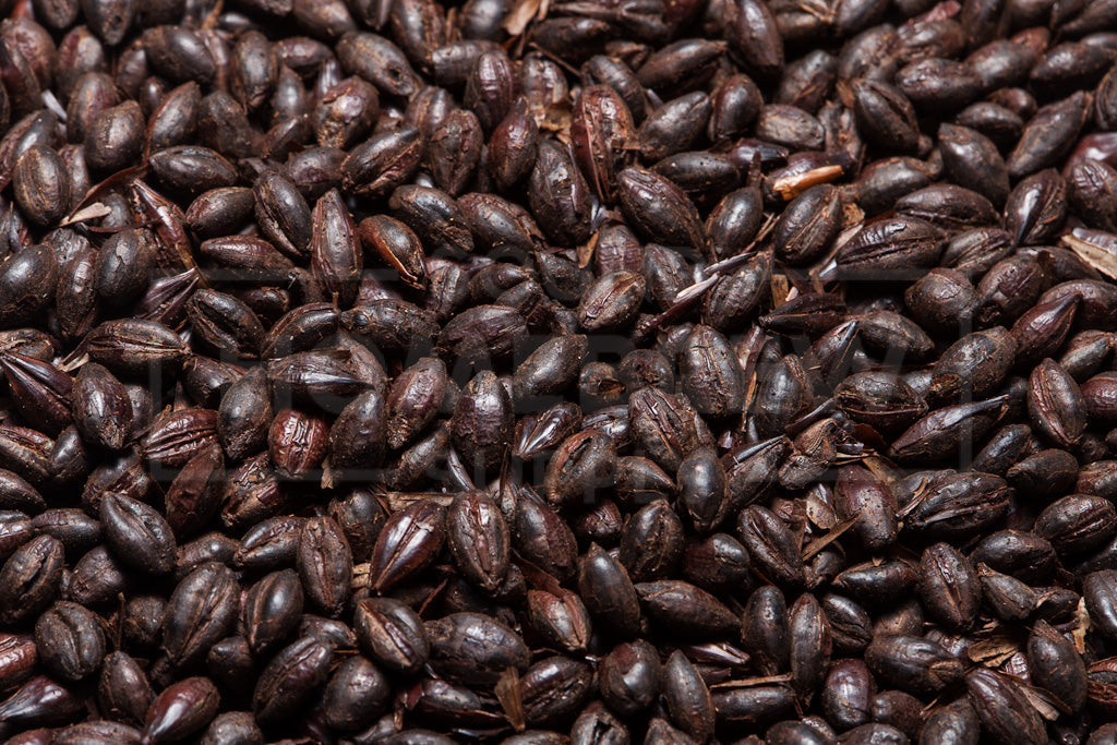 Black Barley, Briess, 1 ounce