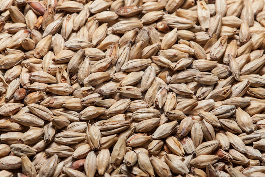 Dark Munich, Crisp Malt, 55 lb Bag