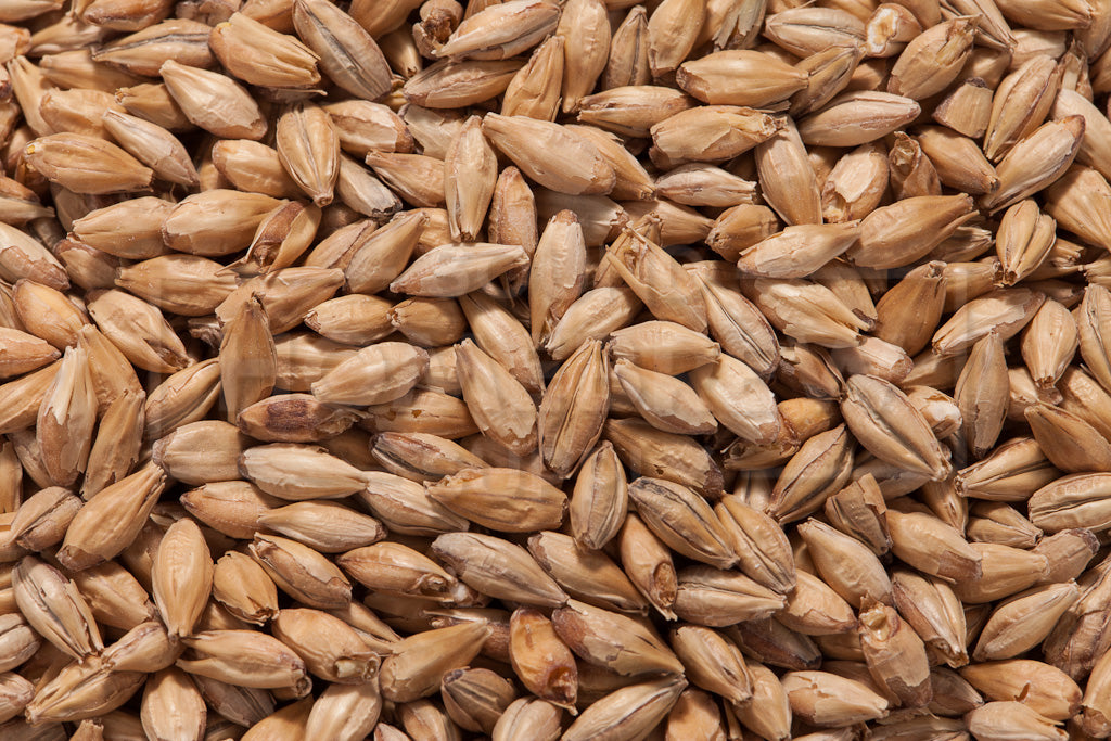 Belgian Pilsner Malt, Dingemans 55 lb Bag