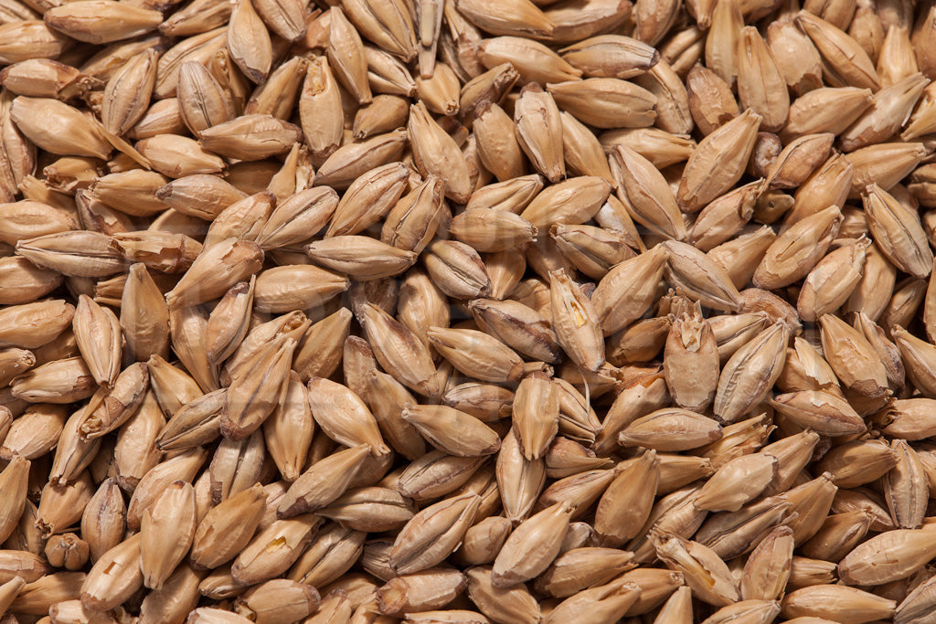 Belgian Ale Malt, Dingemans 55 lb Bag