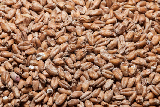 Red Wheat Malt, Briess, 1 ounce