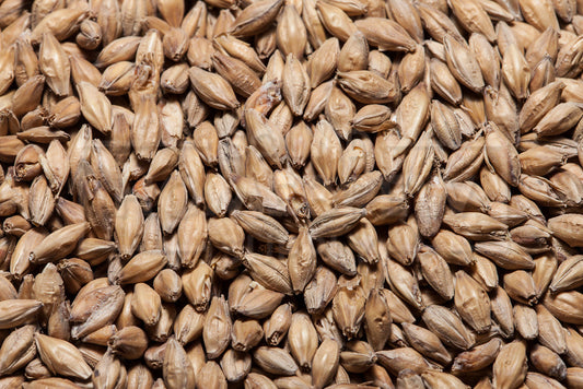 Golden Promise Pale Ale, TF&S 55 lb Bag