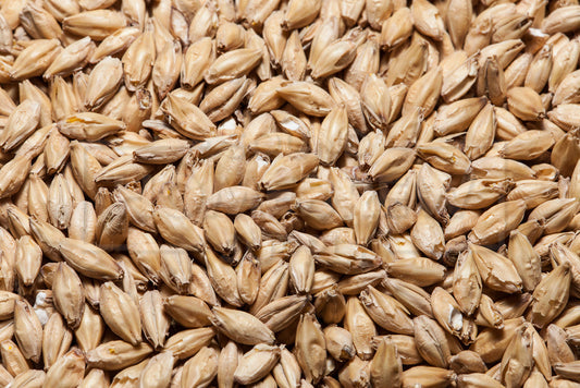 Pale Ale Malt, Gambrinus 55 lb Bag