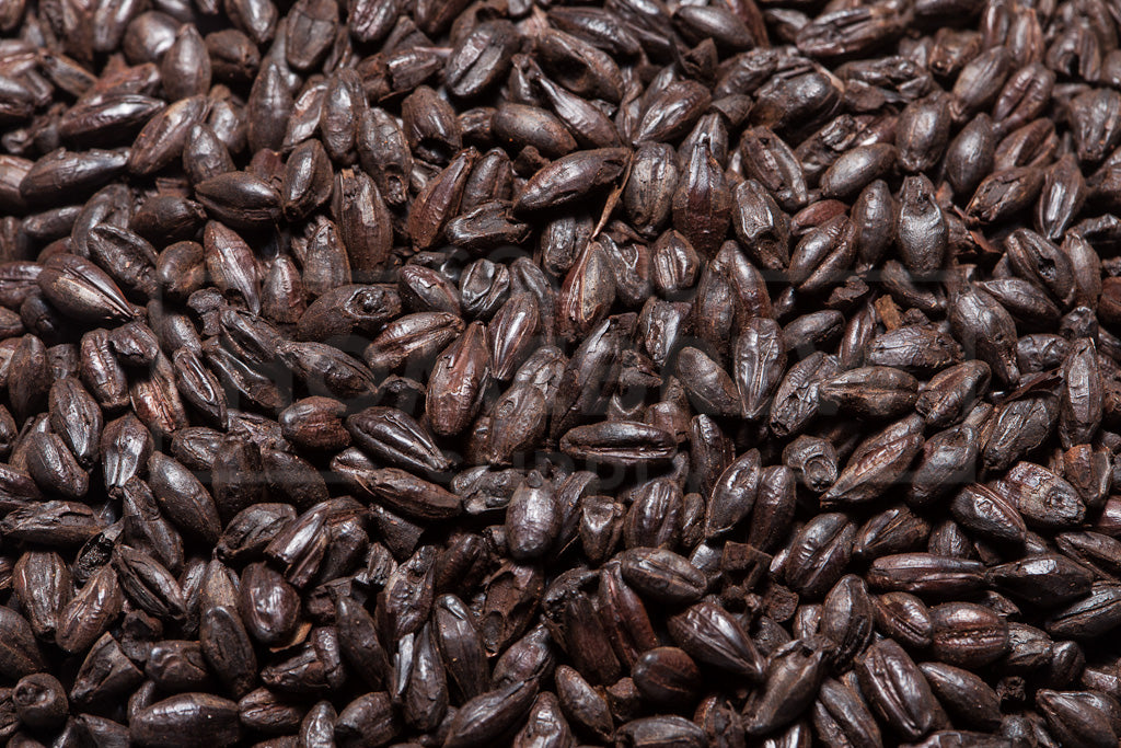 Black Malt (Patent), Briess 50 lb Bag
