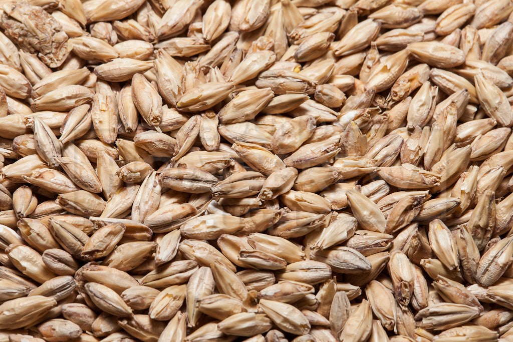 2-Row Brewers Malt, Great Western 55 lb Bag