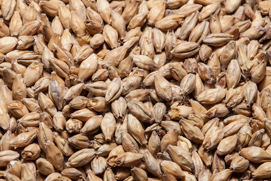 German Pilsen Malt, Barke Pilsner, Weyermann, 55 lb Bag