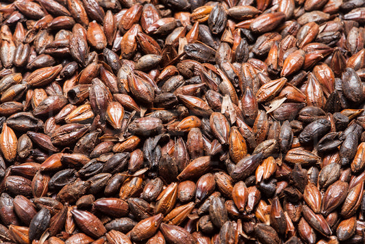 Roasted Barley, Briess 50 lb Bag