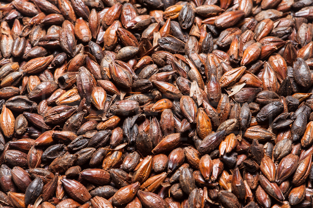 Roasted Barley, Briess, 1 ounce