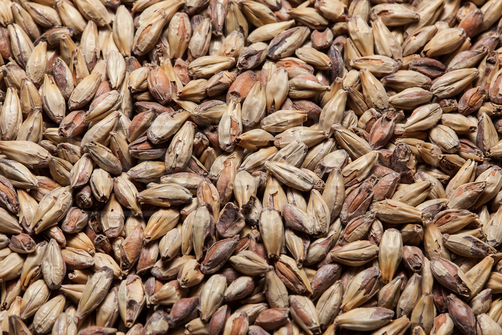 Victory Malt, Briess 50 lb Bag