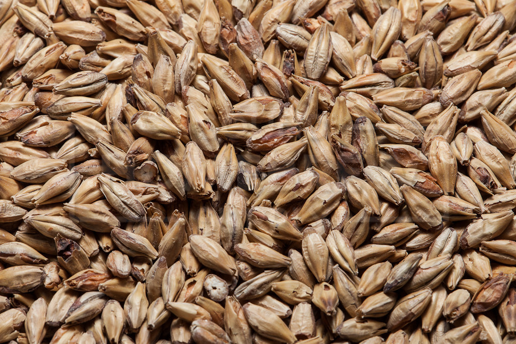 Aromatic Malt, Briess, 1 ounce