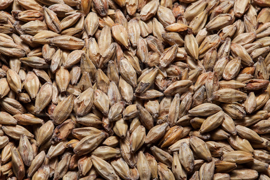 Honey Malt, Gambrinus, 1 ounce