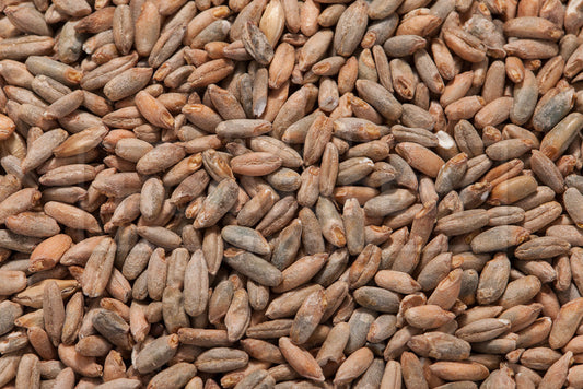 Rye Malt, Canada Malting 50 lb Bag