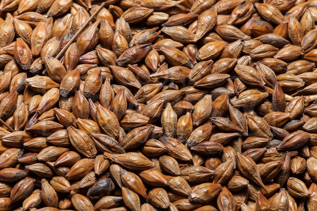 Amber Malt, TF&S 55 lb Bag