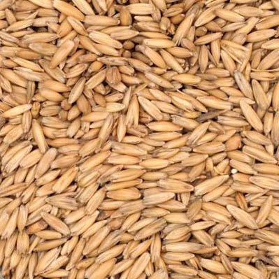 Oat Malt, Thomas Fawcett, 1 ounce