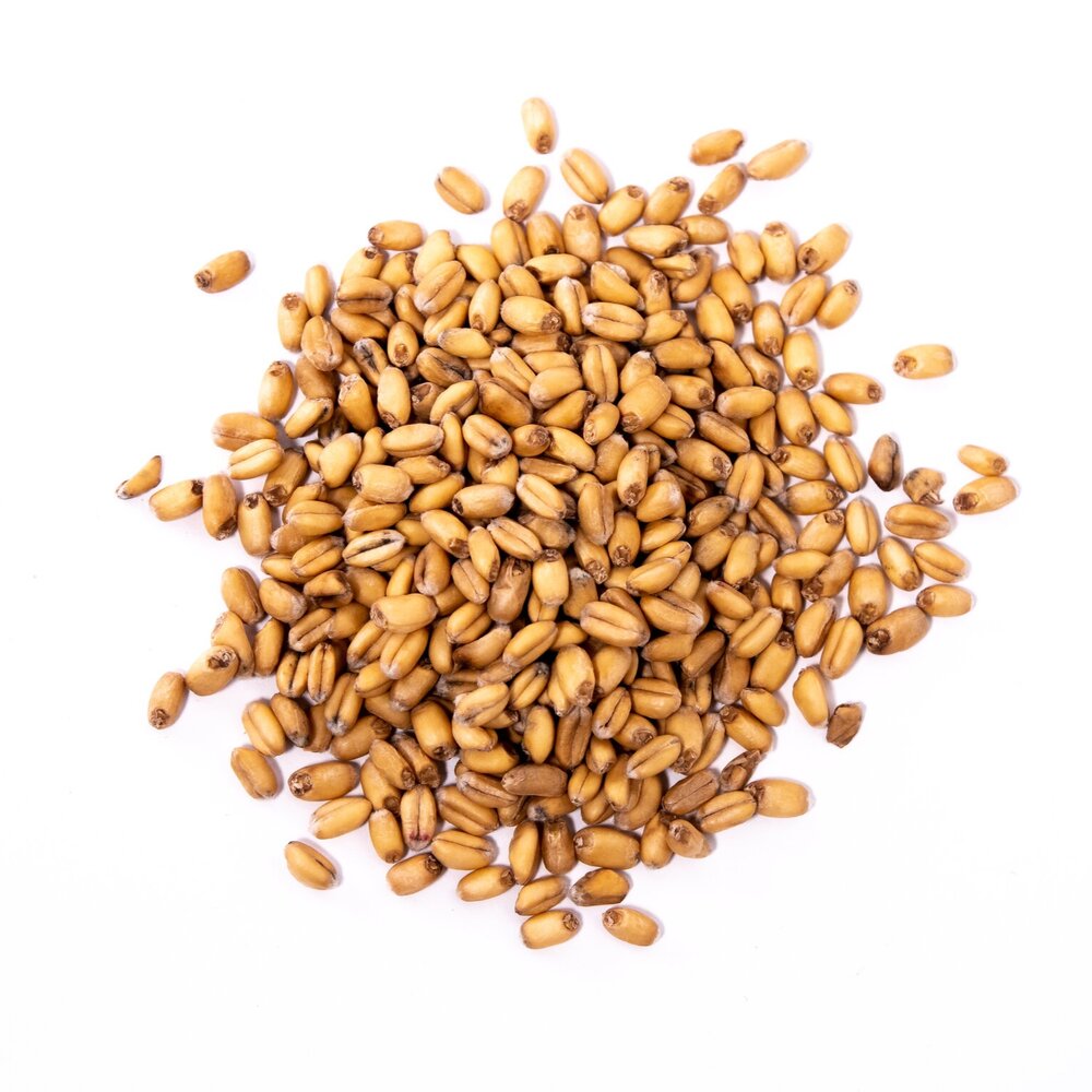 White Wheat, Great Western, 1 ounce