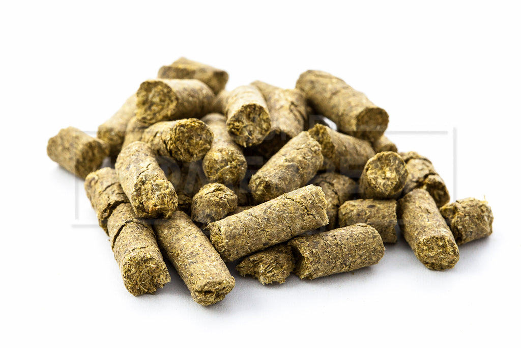Azacca Pellet Hops 1oz.