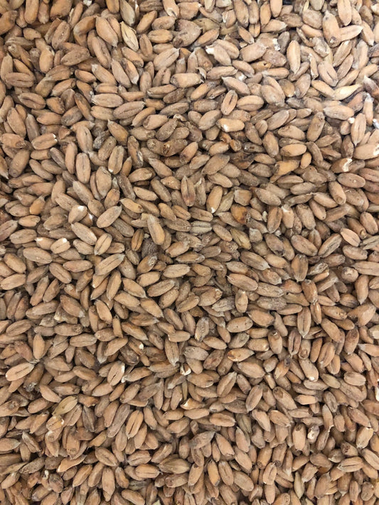 Spelt Malt, Weyermann, 1 ounce