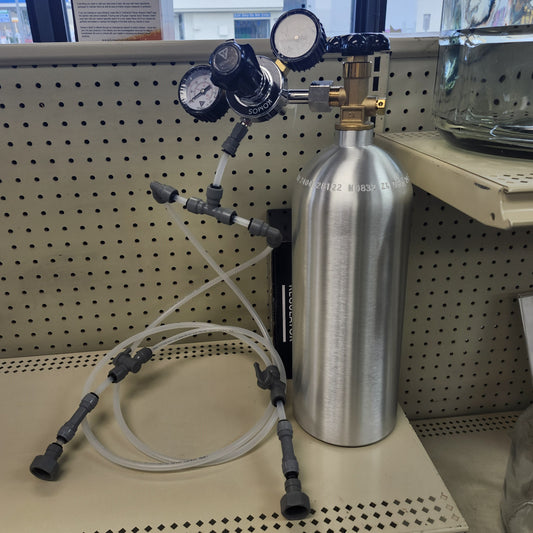 Rental, Full 5lb CO2 Tank + Regulator + Tubing up to 4 Taps