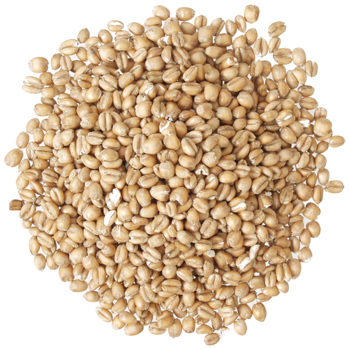 Torrified Wheat, Briess, 1 ounce