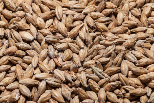 Maris Otter Malt, TF&S 55 lb Bag