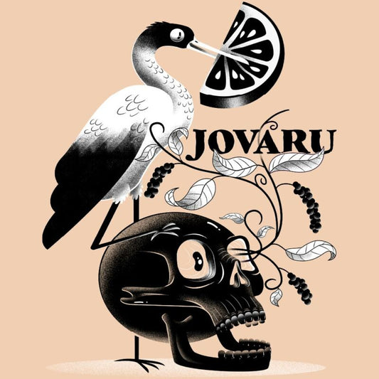 Jovaru Farmhouse OYL033